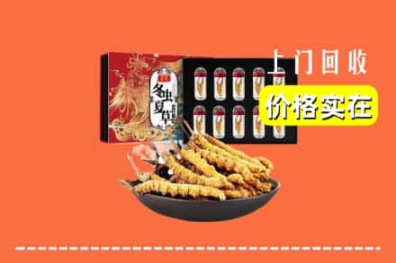 观山湖区回收冬虫夏草